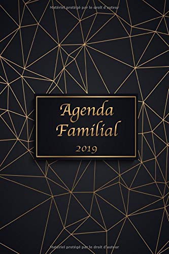 Télécharger Agenda Familial 2019: Organise, planifie et note la nouvelle année 2019 dans l’agenda et calendri Livre eBook France