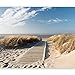 Produktbild Fototapete murando Strand 250x193 cm Vlies Tapeten Wandtapete XXL Moderne Wanddeko Design Wand Dekoration Wohnzimmer Schlafzimmer Büro Flur Sand Wasser Natur Himmel Sommer Wolken Blau 100403-39