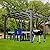 Endark 12 * 10FT Cedar Wood Pergola, Wind Secure, Strong, Quality Made, Rot Resistant, Concrete Anchors, Spacious for Outdoor Patio, Deck