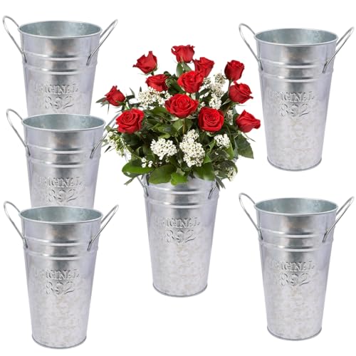 Biugaaufai 6 Packs 8 Inch Tall Galvanized Metal Flower Vases