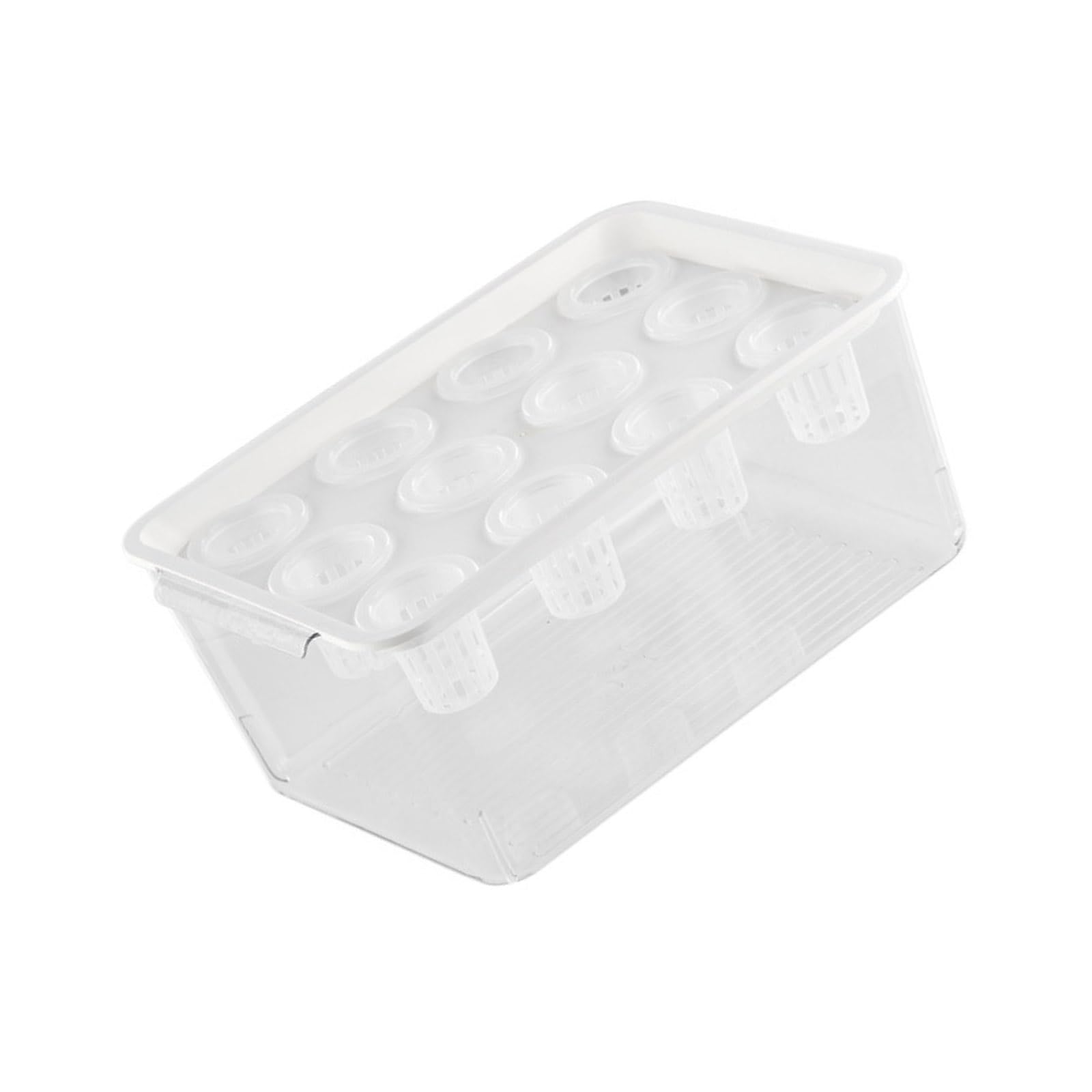 Hsioluted Visibility Propagation Container Grower Box Ideal for Vegetables Soilless Growing and Root Development Tracking Pellucid Seedling Tray
