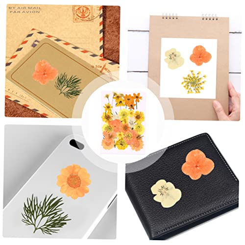 Kit 40 flores secas prensadas elegantes para manualidades miniatura 7