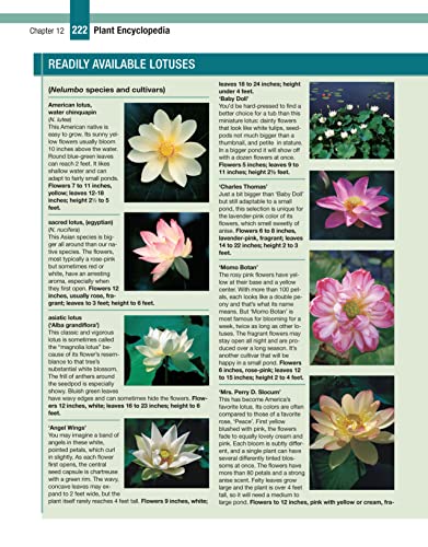 Garden Ponds, Fountains & Waterfalls for Your Home