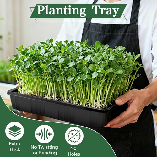 Sckee Upgraded 10 Pack Plant Growing Trays Seed Starting Tray Microgreens Growing Trays Seedling Plant Germination Starter Tray Transplant Fodder Flats, No Holes, No Leakage, Reusable (1015) - Image 2