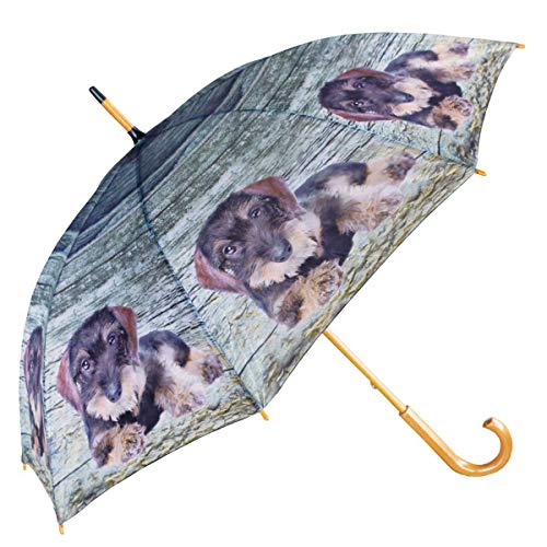 440s Regenschirm Rauhaar-Dackel | MM-BBPTTL | 8716522043938 Cover