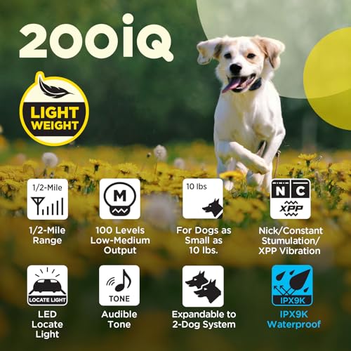Image of Dogtra 200iQ Remote Training E Collar - 100 Levels, Tone, Vibration, 1 /2 Mile Range - Compact, Waterproof, One-Handed Control for Dogs 10 lbs+ - Lightweight Daily Training - Slip Resistant Lavender