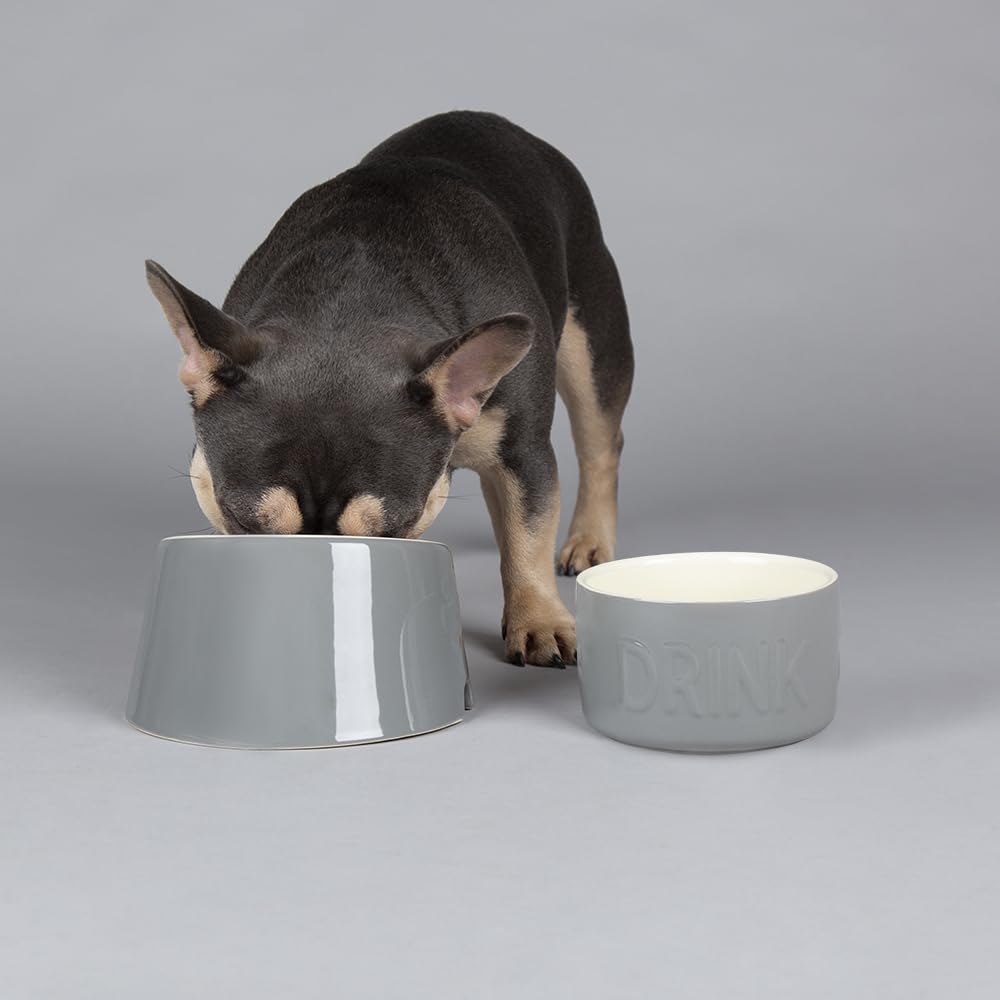 Scruffs Classic 2 Piece Flat Faced Dog Bowl & Water Bowl - 20cm | 18cm - Grey