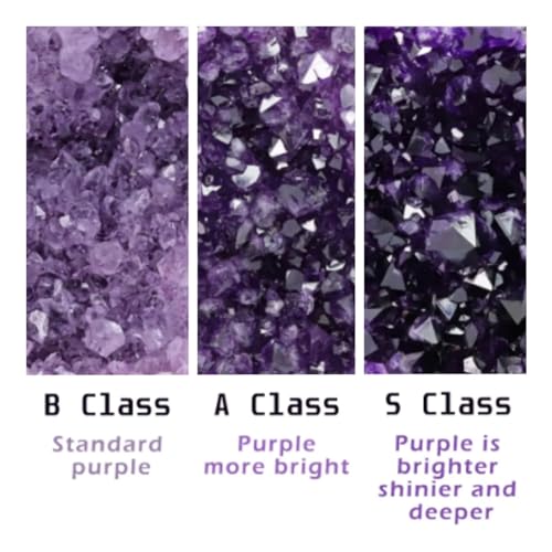 Grappe d'améthyste et amas de cristal naturel pour lithothérapie - 5