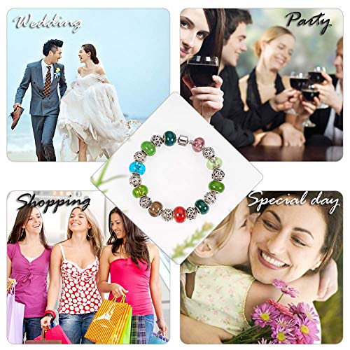 Ph Pandahall 60 Styles Large Hole European Lampwork Beads Murano Glass Beads Rhinestone Spacers Metal Dangle Pendant Charms For Snake Chain Bracelet Bangle Necklace, 60Pcs #TOP7