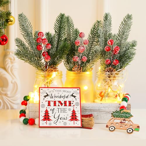 Sliner Christmas Mason Jars Christmas Table Settings Wood Tray 3 Decorative Jars with LED Artificial Berry Stem Picks Christmas Wooden Sign Green Red Bead Garland for Living Room Home