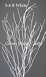 Green Floral Crafts SNOWY WHITE Birch Branches 3-4 Ft Tall, Pack of 6-7 Branches
