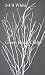 Green Floral Crafts SNOWY WHITE Birch Branches 3-4 Ft Tall, Pack of 6-7 Branches