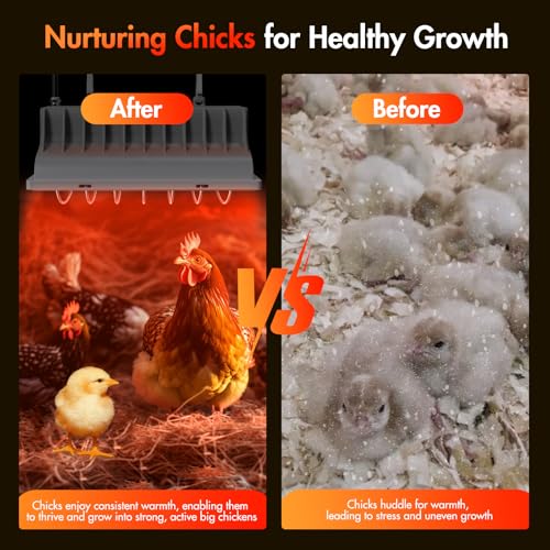 Kweetle 250W Chicken Coop Heater thumb #5