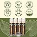 Earth's Daughter USDA Organic Lip Balm 4-Pack Vanilla Flavor - Beeswax, Coconut Oil, Vitamin E - Best Lip Repair Chapstick for Dry Cracked Lips.