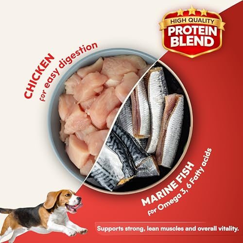 Image of DatGud Adult Dry Dog Food, Chicken & Brown Rice, 6 kg(3 kg + 3 kg Free) | Complete & Balanced Nutrition | Weight Management Support | Glucosamine for Joints | Easy Digestion | Healthy Skin & Coat