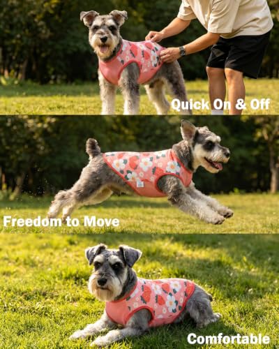 Image of CuteBone Mesh Panel Dog Tank Top - Breathable Dual-Fabric Pet Vest Lightweight Summer Small Dog Shirts - Keep Your Pets Cool, Sun-Protected Outdoors