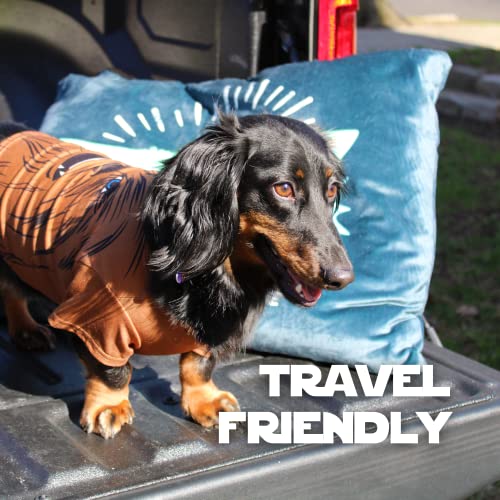 Star Wars Officially Licensed Pet Accessories -The Force Is Strong Baby Yoda Dog Bed & Matching Interactive Rope -Grogu The Child Teething Dental Toy - Plush Machine Washable Kennel Bed For Small Dogs #TOP3