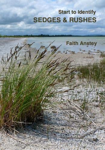 Start to Identify Sedges & Rushes