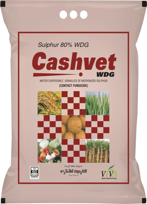 CASHVET WDG – Sulphur 80% WDG Fungicide & Miticide | 10x3KG POUCH | Controls Powdery Mildew, Rust & Fungal Diseases | Easy to Mix Water Dispersible Granules | Safe for Grapes, Vegetables & Pulses-image-23