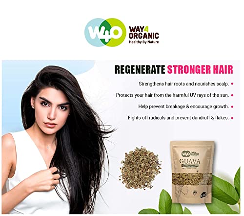 Guava Leaf Tea (Dried Crushed Leaves, Not Powder) 8 Oz, Hair Re-Growth, Skin & Nails, No Preservatives, 100% Pure Guava Leaves (1 Pack(8 Oz)) - Thumbnail 3
