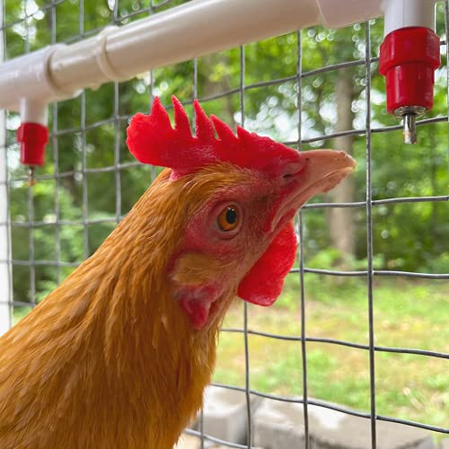 6 Pack Poultry Nipples + Pvc Tee Fittings For Automatic Watering System Chicken Duck Quail #TOP1