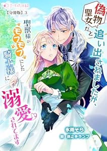 偽物聖女だと追い出されましたが、聖獣様がモフモフにした騎士様に溺愛されてます【分冊版】3 (ミーティアノベルス)