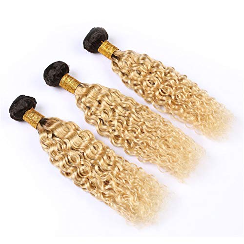 Tony Beauty Hair #1B/613 Blonde Ombre Brazilian Wet And Wavy Human Hair Bundles 300Gram Black Roots Ombre Blonde Virgin Hair Weaves Water Wave Bleach Blonde Ombre Hair Extensions (24 26 28) #TOP2
