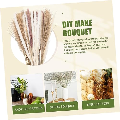 Luxshiny 300 Peças Flores de junco secas adereços de junco adereços de layout de palheta plantar dec