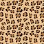 Brown - PTTRNS08