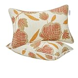 JMGBird Water-Resistant 12×20 Outdoor Lumbar Pillows, 2-Pack