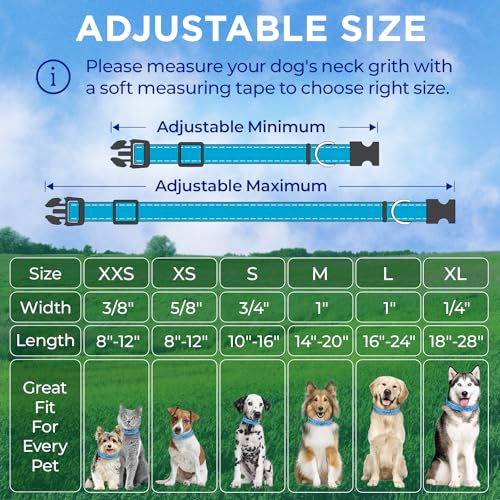 Collar Reflectante para Perro TECEUM Azul Cielo M miniatura 7