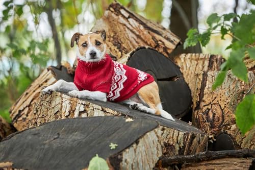 Wolters Norweger Pullover 40cm rot/weiss