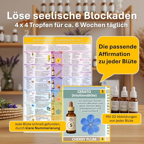 [5er Set] Der sanfte Naturheil-Kompass für Körper & Seele – mit allen 38 Bachblüten & 24 Schüßler-Salze: Behutsam körperlichen & seelischen ... & ... & Selbstanwender (DINA 4, laminiert)