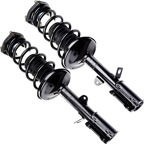 SCITOO Rear Complete Struts Assembly Coil Springs Shock Struts171953 171954 Fit for 1998-2002 Chevrolet Prizm,1993-1997 Toyota Corolla 1993-1997 Geo Prizm