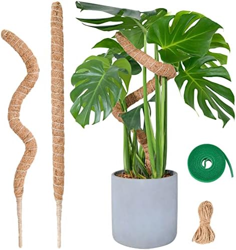 Moosstab Monstera für Pflanzen, SproutMaven 2 x 60cm Biegsame Monstera Rankhilfe mit Zubehör für Kletterpflanzen, Handgefertigte Kokosstab Monstera Moss Pole für Indoor Pflanzen