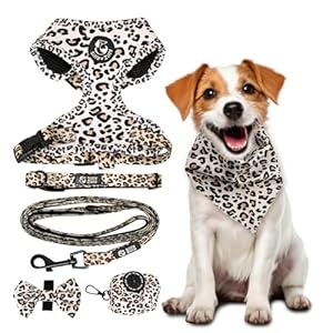 No Pull Harness and Leash Set – 6-in-1 Adjustable Vest Harness and Collars for Medium and Large Dogs. (Leopard, Small)