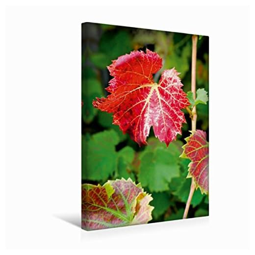 JoliCoon 30. Geburtstag Flaschenetikett - A princess was born - Perlmuttlack veredelt - 8,5x12cm 6 CALVENDO Premium Textil-Leinwand 30 x 45 cm Hoch-Format Wein und Sekt, Leinwanddruck von Anette Jäger