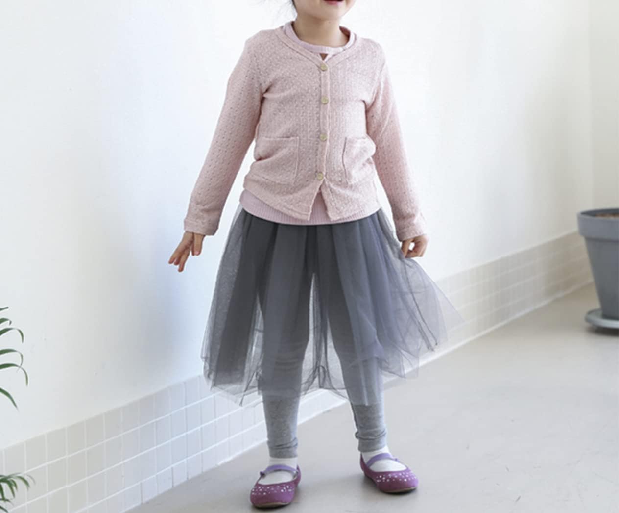 進藤蕃、アネモネ、レゾネより、希少、版上サイン、新品額装