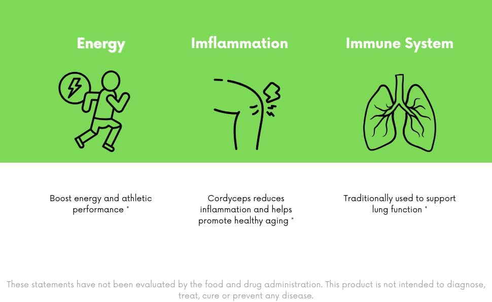 Miniatura 5 de Cordyceps - Tintura de extracto de hongos, 2 oz (2.0 fl oz)