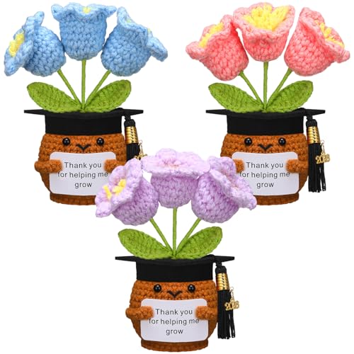 Wavwavw 3 Pcs Christmas Teacher Gift, Flower with Grad Cap
