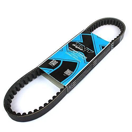 Tntor 268129 N Cinghia Scoot seghettata cinese 2T