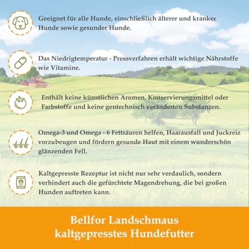Bellfor Rhodesian Ridgeback hochwertige getreidefreie Futter, gesunde Snacks und Ergänzungsfuttermittel mit Shiitake – Shiimun Skin Pulver, 4,290 kg