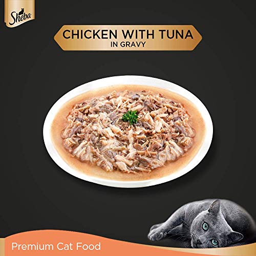 Sheba-Fine-Food-for-Adults-Cats-1-Years-Chicken-with-Tuna-in-Gravy-Flavour-Pack-of-24-24x-70g