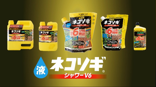 Amazon.co.jp: レインボー薬品 ネコソギエースV粒剤 100g袋 100107001