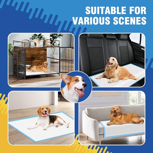 Image of VJJ Dog Pee Pads Extra Large 30x36in 35 Counts, XXL Puppy Pads, Large Pee Pads for Dogs, Disposable Urine Dog Pads Doggie Pads, Thicken Pet Pads for Dogs Cats Rabbits