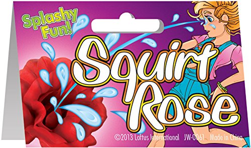 Loftus Gag Gift Squirting Rose