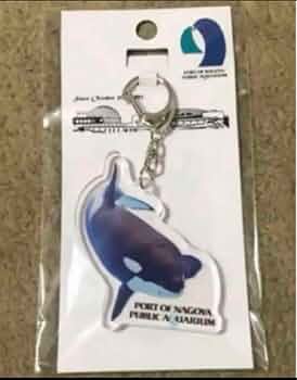 レア　名古屋港水族館限定　シャチ　キーホルダー 515NwbeKbfL._AC_UF350,