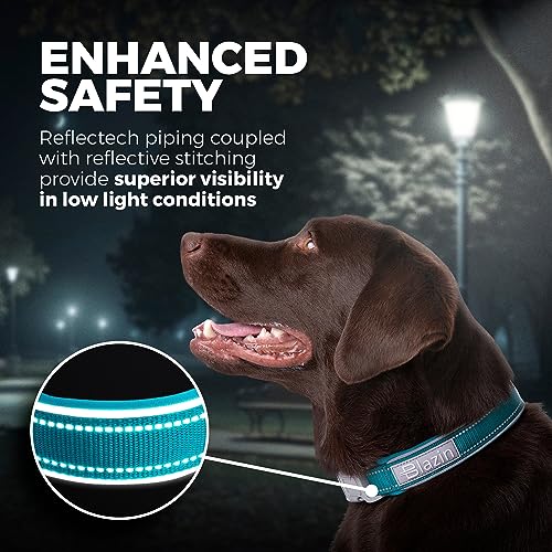 Collier réfléchissant chien bleu taille S Blazin