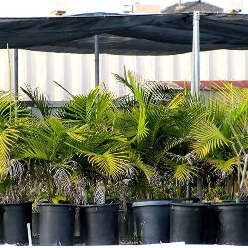 Black Mesh Shade Net Shade Tarp Construction Fence Dust and Wind Tarp Canopy Shade Panel Koi Pond Screen (XL Sizes) (6' X 100')