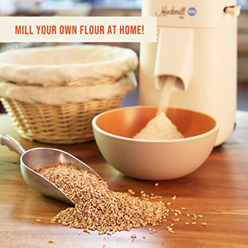 100% Organic Hard Red Spring Wheat Berries- 25 Lbs #TOP4